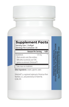 Load image into Gallery viewer, Ultimate E